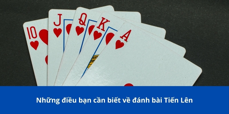 Những điều bạn cần biết về đánh bài Tiến Lên